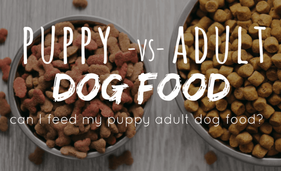 good puppy food
